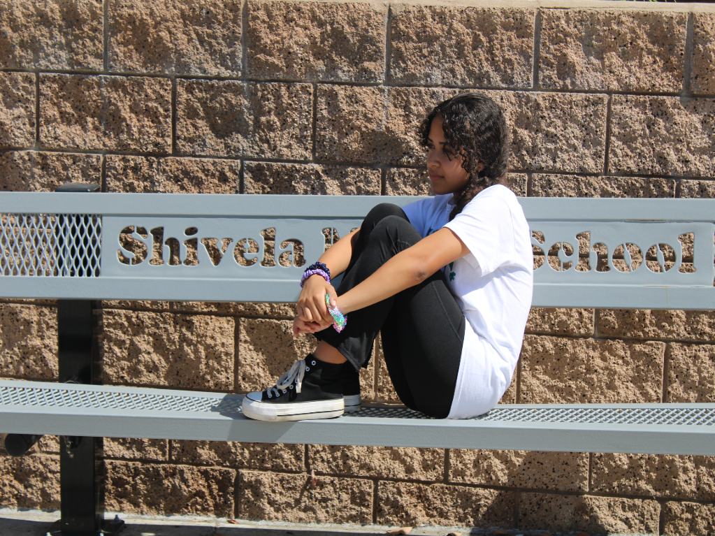 We Are Shivela 